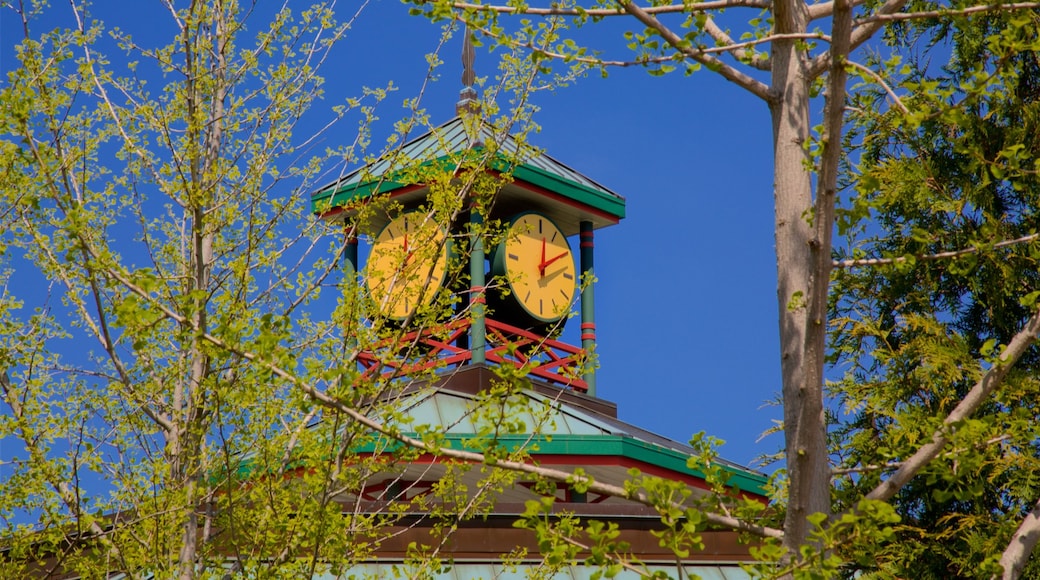 St. Louis Zoo