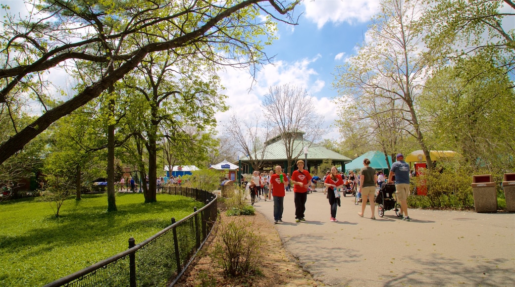 St. Louis Zoo mit einem Park sowie kleine Menschengruppe