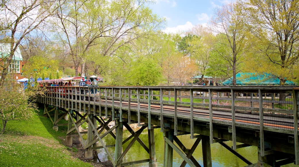 St. Louis Zoo