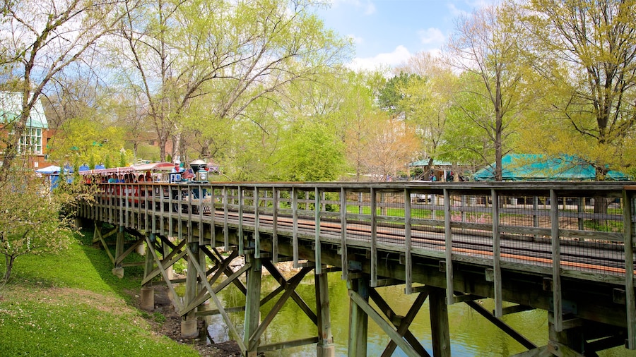 St. Louis Zoo