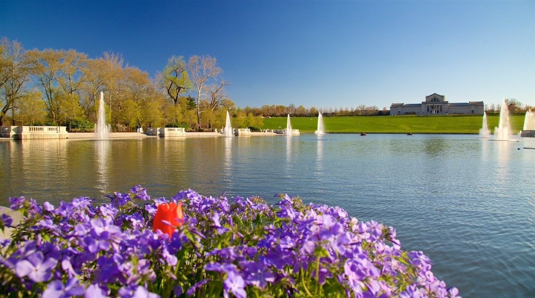 St. Louis Art Museum mostrando un lago o laguna, una fuente y flores salvajes