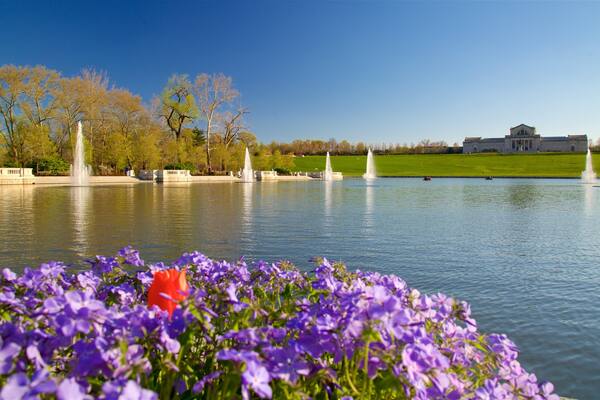 St. Louis Art Museum qui includes fontaine, fleurs sauvages et lac ou étang