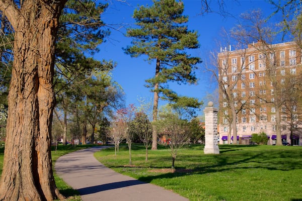 Tower Grove Park