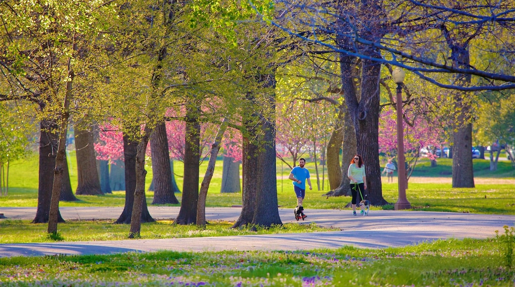 Tower Grove Park showing hiking or walking, a garden and wild flowers