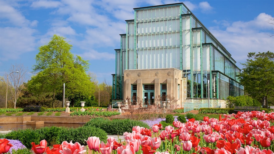 Serre The Jewel Box
