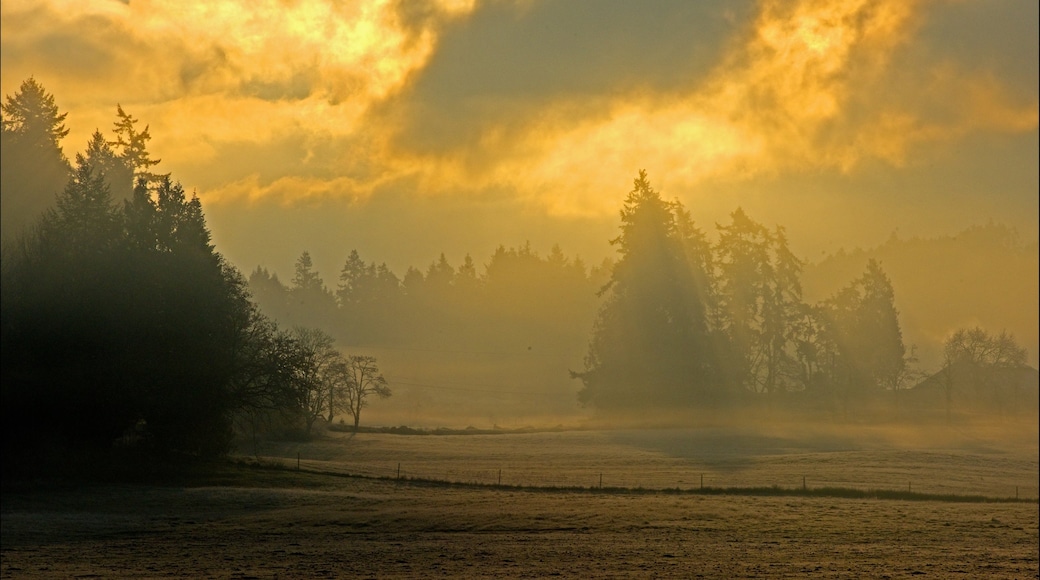 Foto proporcionada por Dave Allan, Mayne Island Images