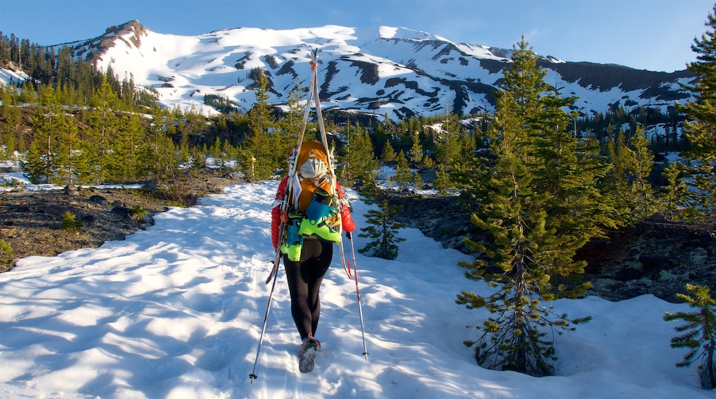 Mount St. Helens che include montagna, paesaggi rilassanti e neve