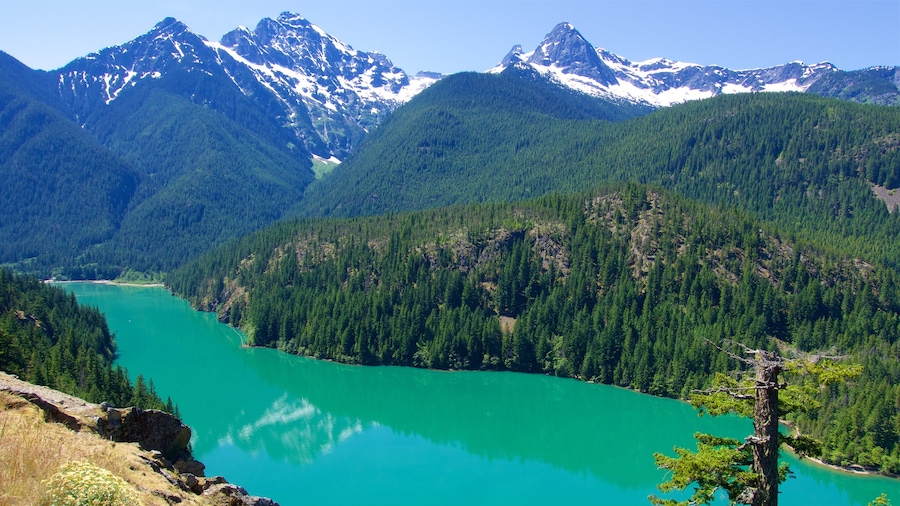 North Cascades Nationalpark welches beinhaltet See oder Wasserstelle und ruhige Szenerie