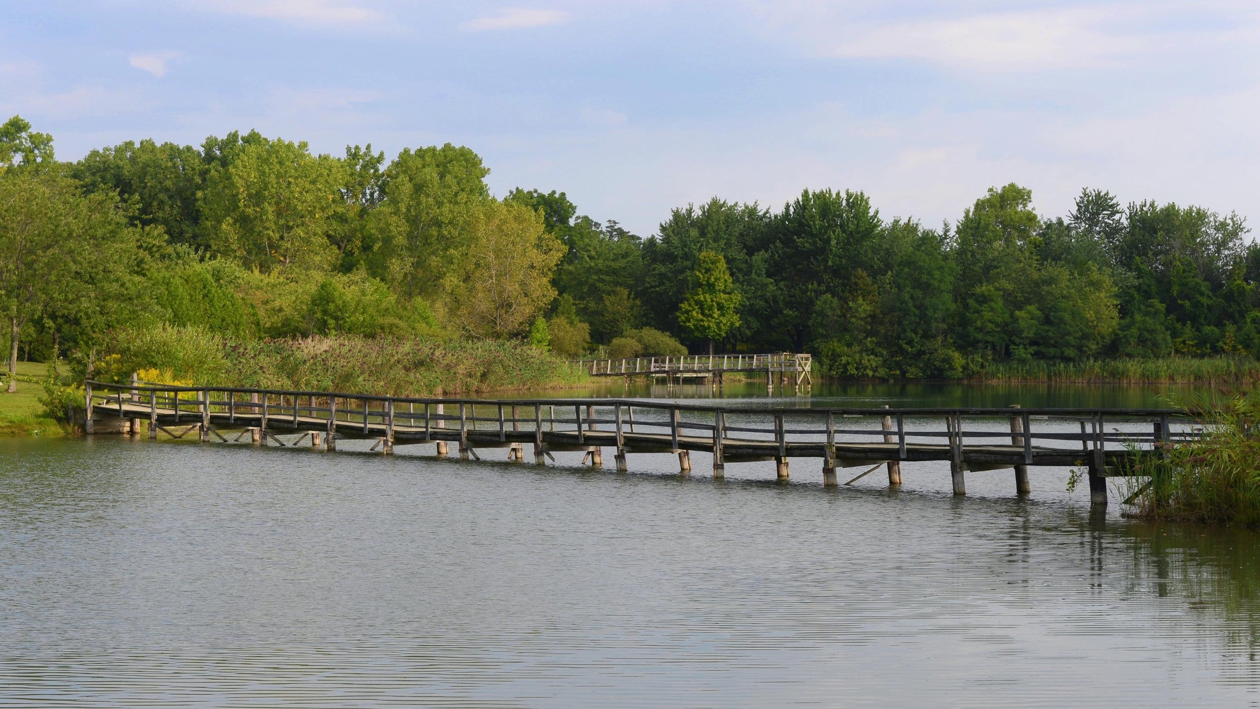 Chatham-Kent showing wetlands, a river or creek and a bridge