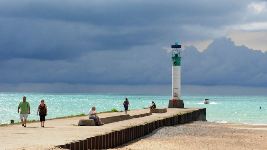 Grand Bend toont een strand en algemene kustgezichten en ook een stel