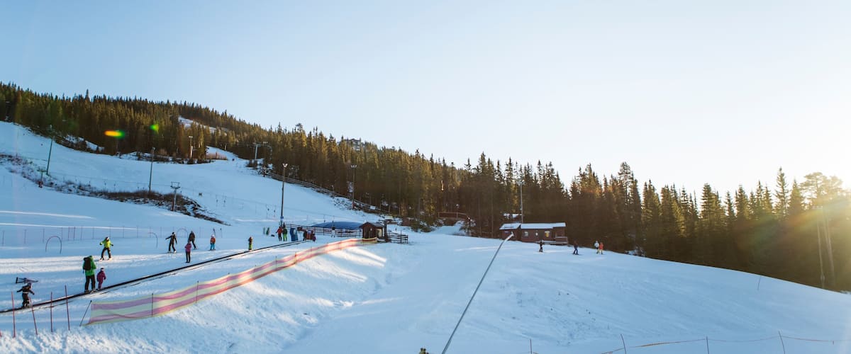 Fagernes que incluye nieve
