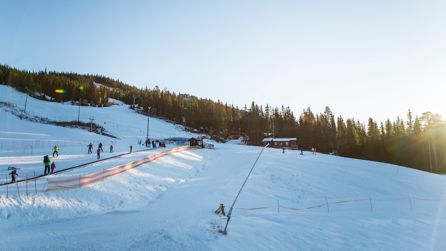 Fagernes inclusief sneeuw