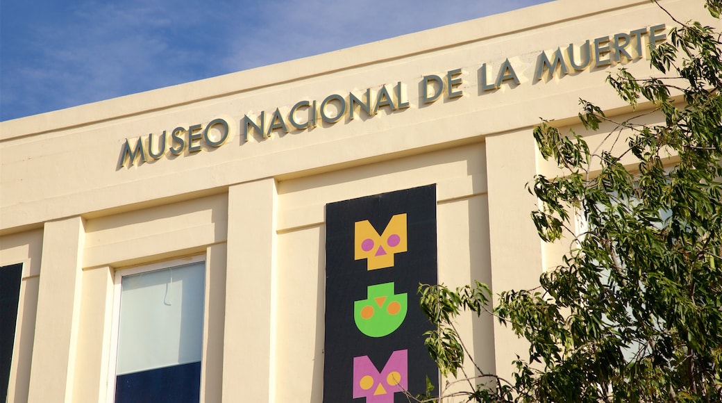 Museo Nacional de la Muert