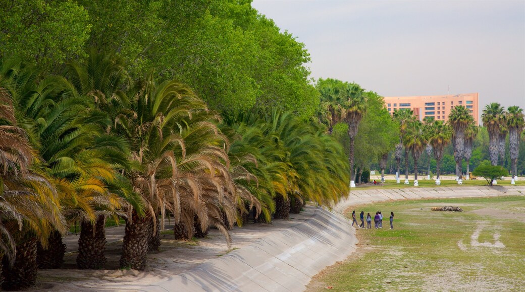 San Luis Potosí montrant parc aussi bien que petit groupe de personnes