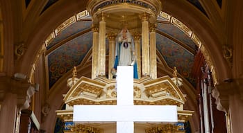 San Luis Potosí mit einem Kirche oder Kathedrale und Innenansichten