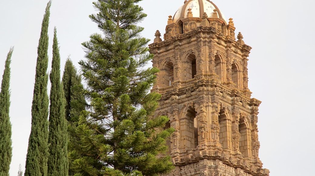 San Luis Potosí mostrando arquitectura patrimonial