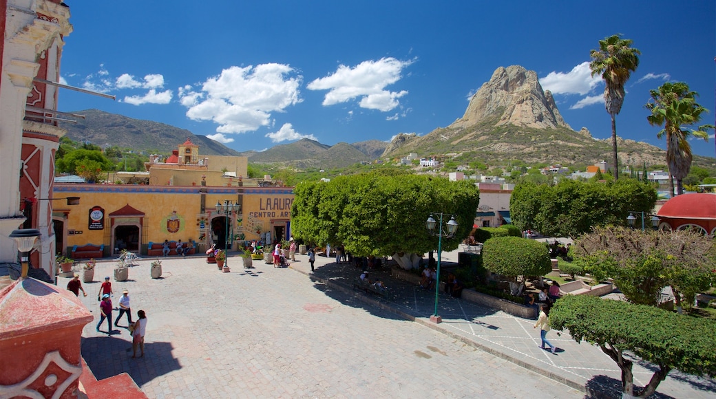 Bernal(贝纳尔)