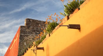 San Miguel de Allende mit einem Blumen