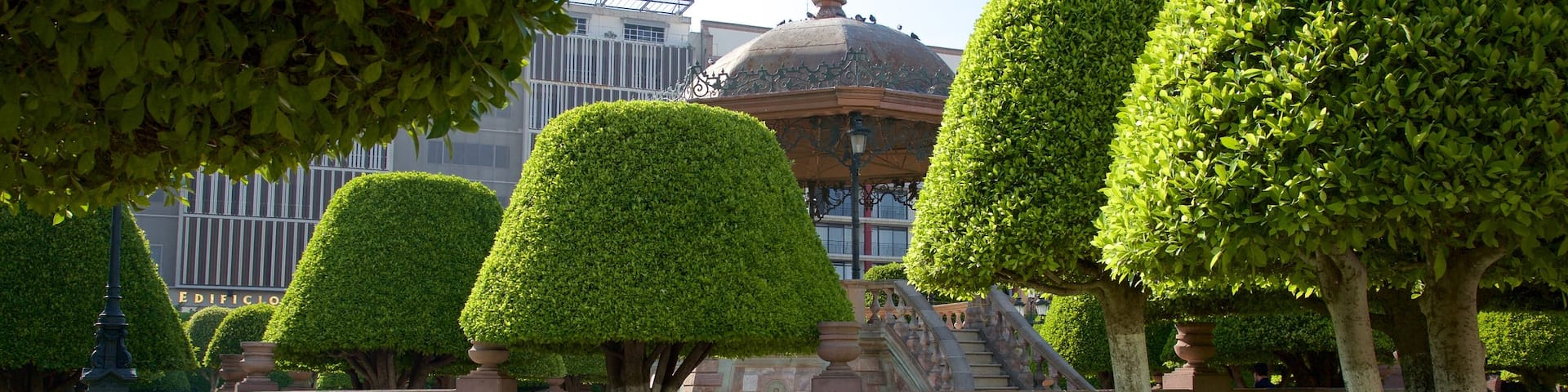 Plaza de los Mártires