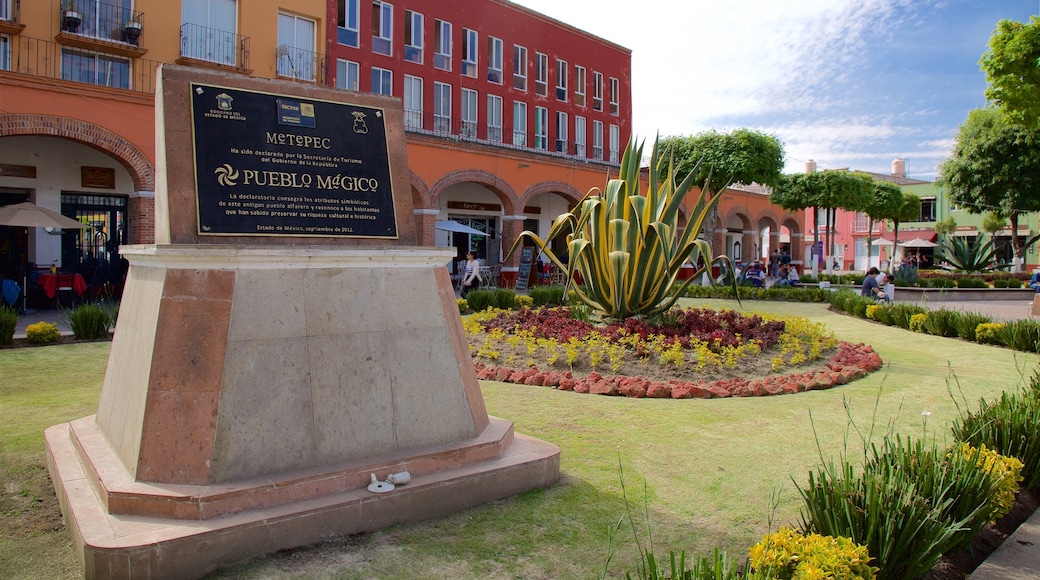 Metepec featuring signage, a park and flowers