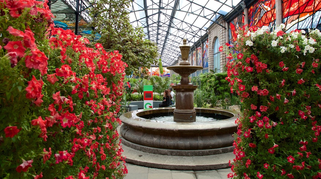 The Cosmovitral