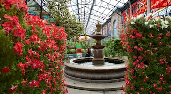 El Cosmovitral mostrando uma fonte, flores e um parque