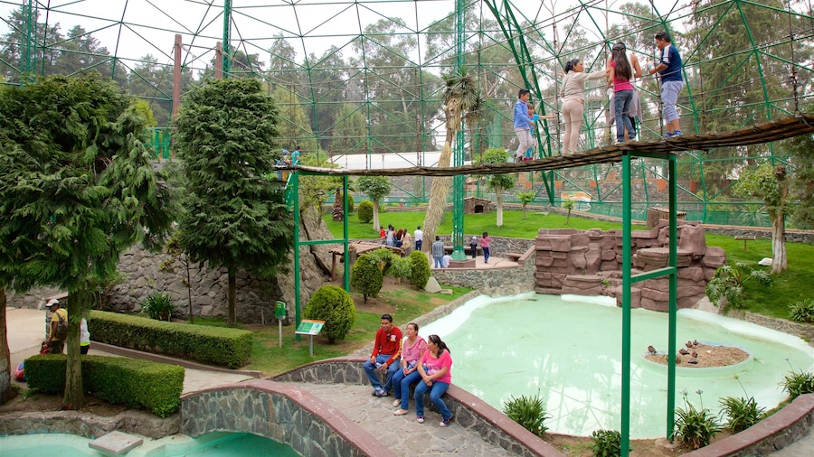 Mexico, Estado de featuring a park, a bridge and a pond