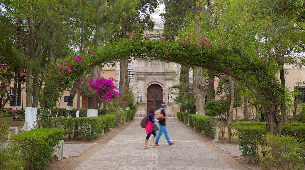 National Museum of the Viceroyalty featuring wildflowers and a park as well as a couple