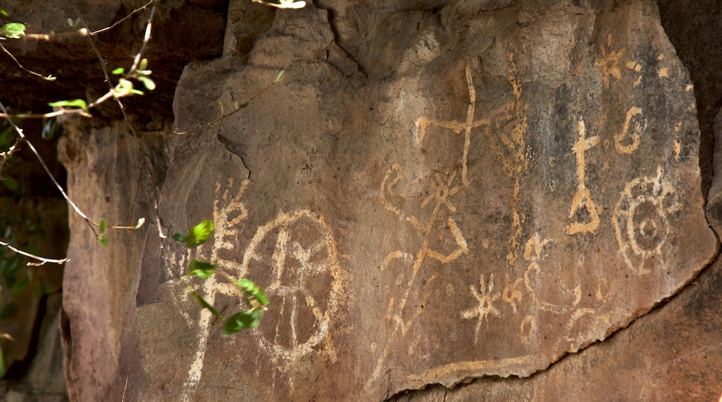 Saucillo Arches Ecopark which includes indigenous culture