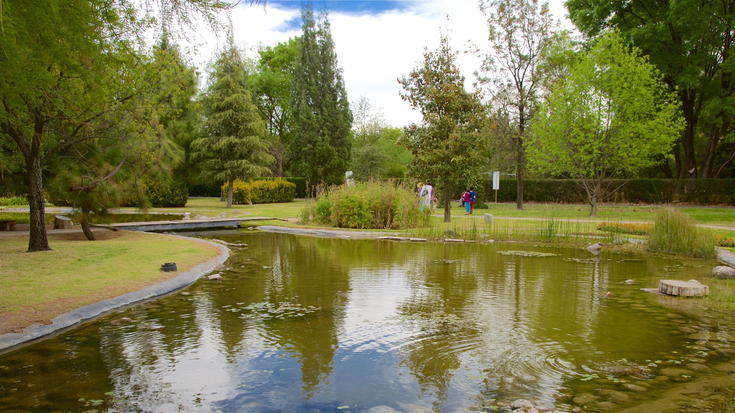 Xochitla which includes a park, a pond and a bridge