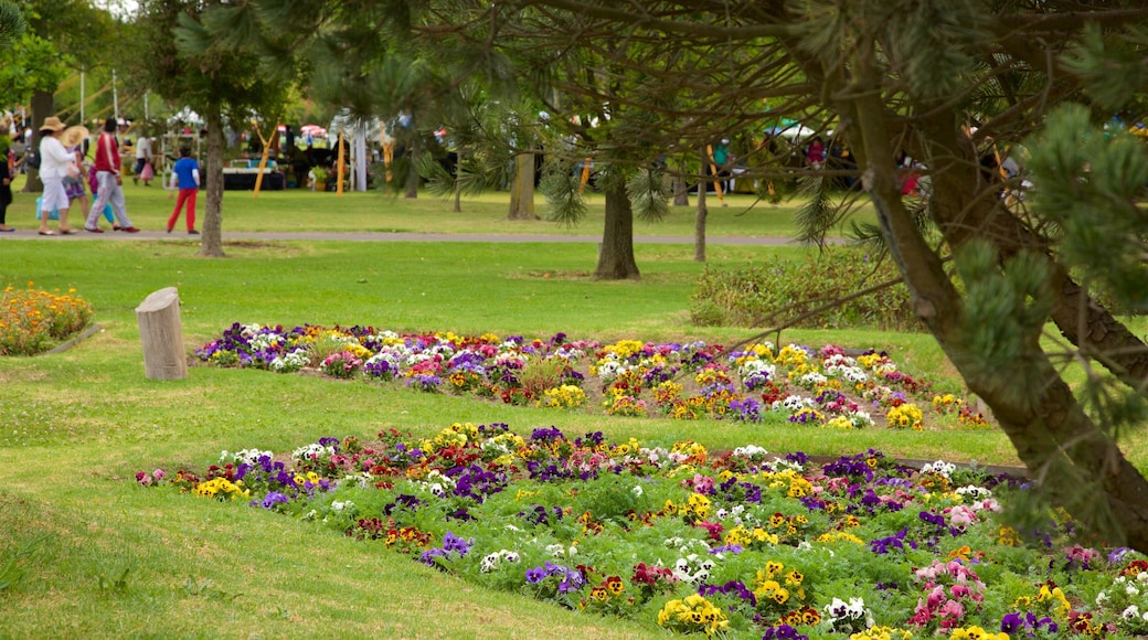 Xochitla ofreciendo un jardín y flores silvestres