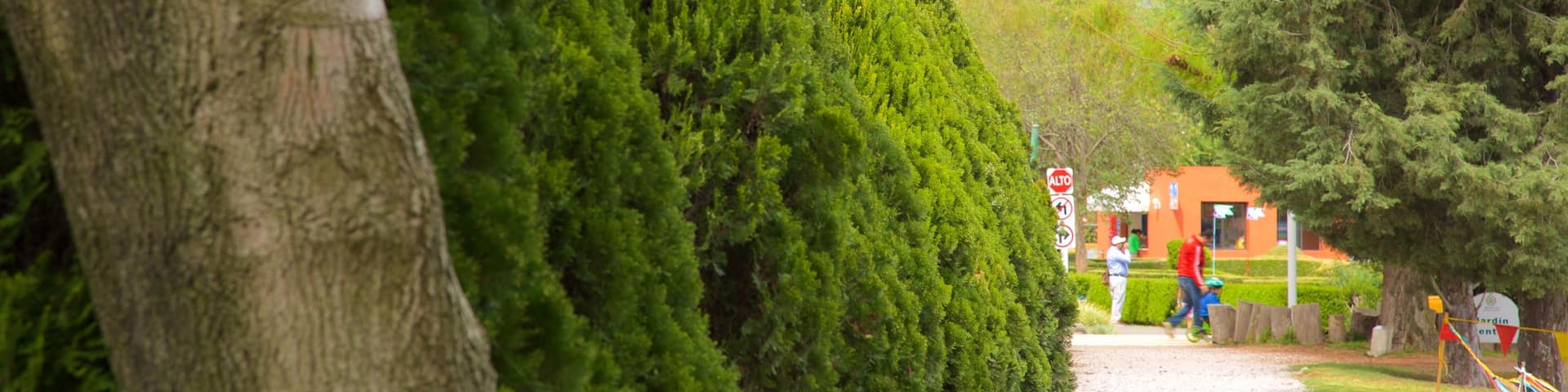 Xochitla que incluye un jardín
