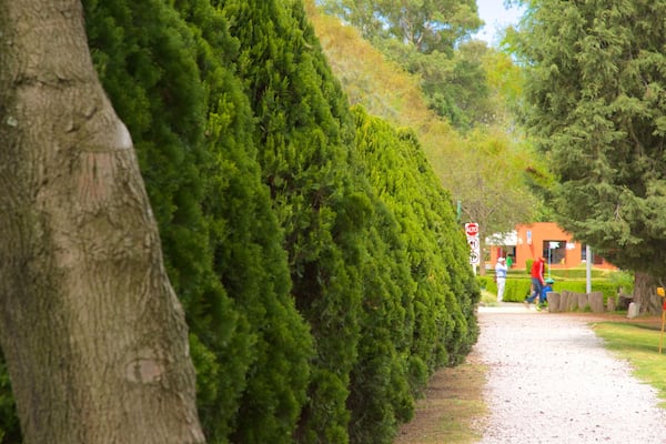 Xochitla mettant en vedette jardin