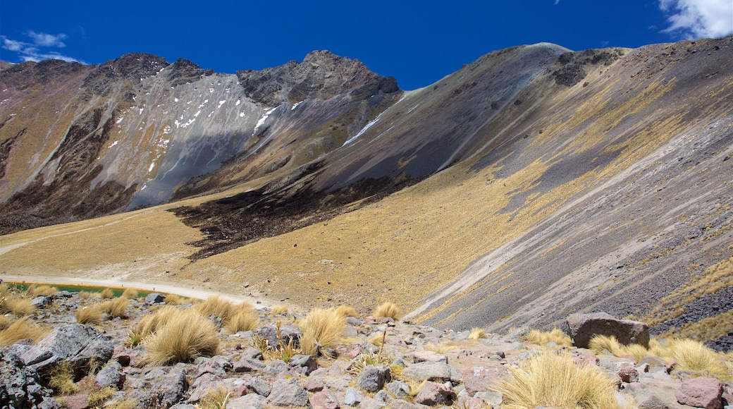 Parque Nacional Nevado de Toluca que inclui paisagem e cenas tranquilas