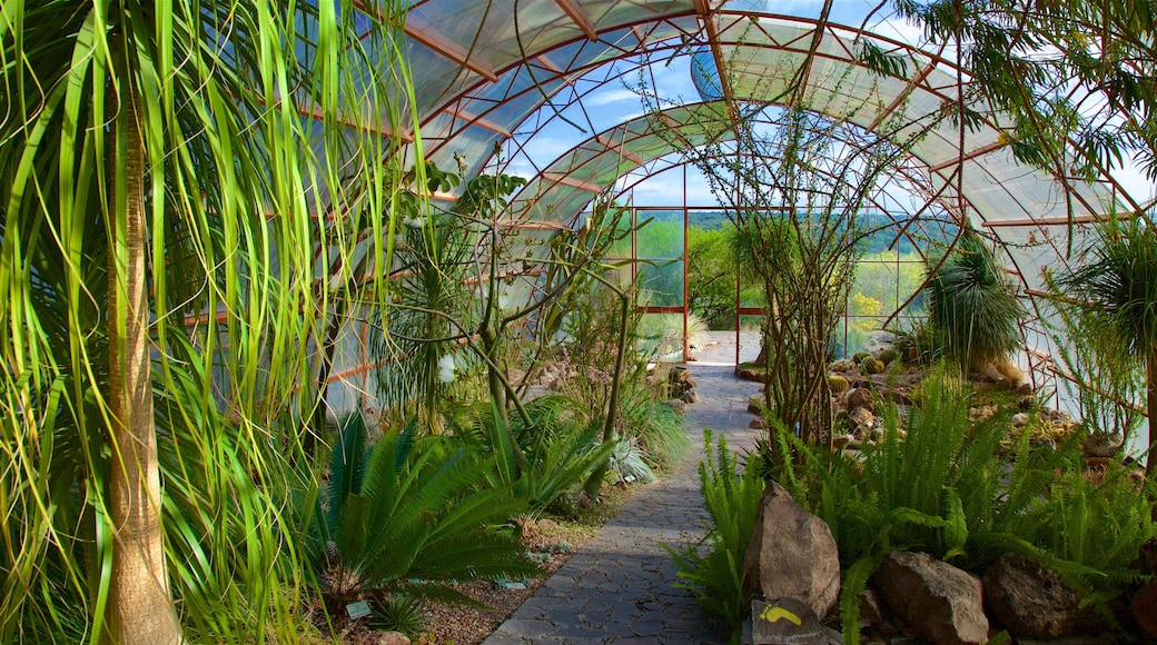El Charco del Ingenio toont interieur en een tuin