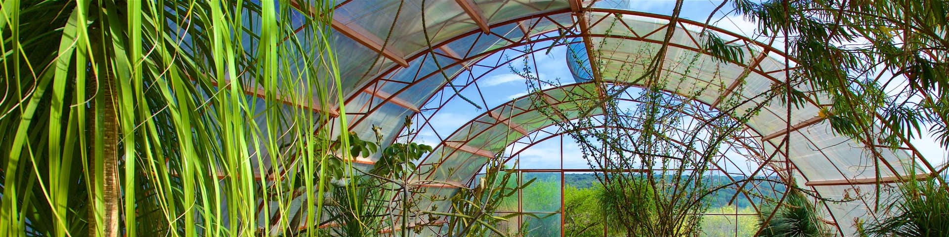 El Charco del Ingenio