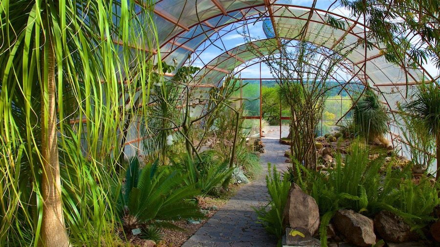 El Charco del Ingenio trong đó bao gồm công viên và cảnh nội thất