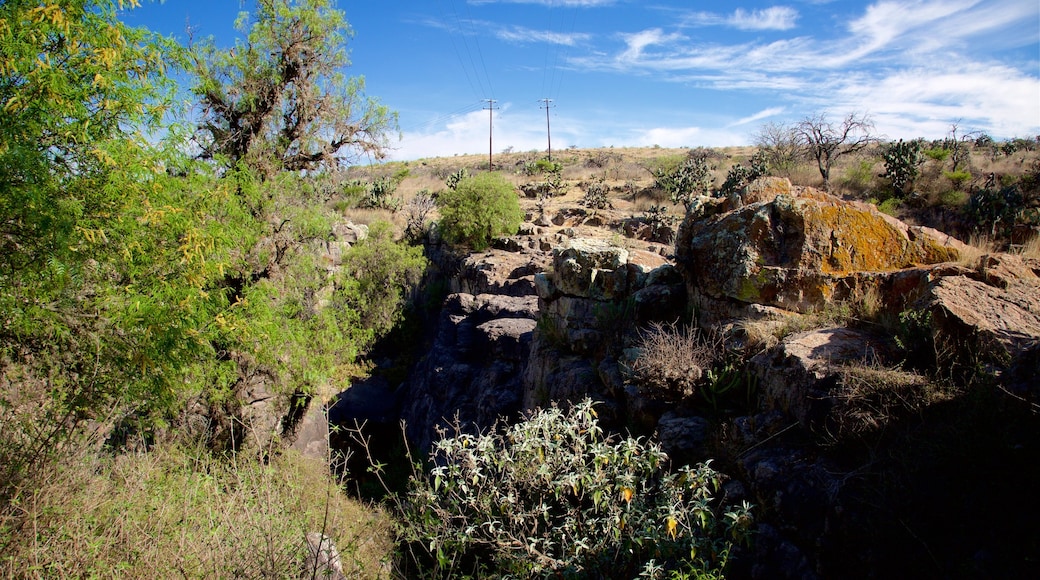 El Charco del Ingenio che include paesaggi rilassanti e vista del paesaggio