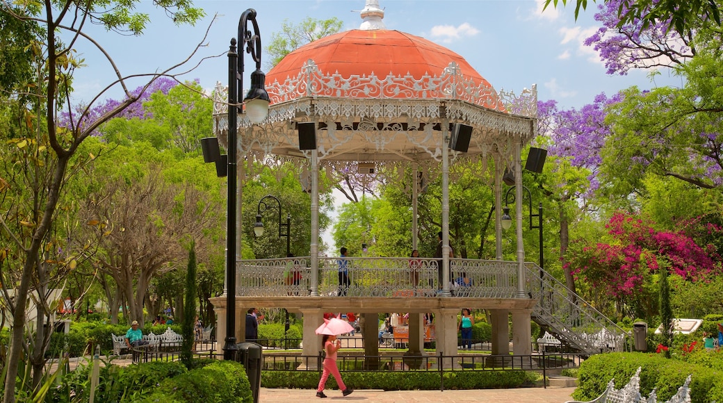 Jardin de San Marcos qui includes parc, patrimoine historique et fleurs sauvages
