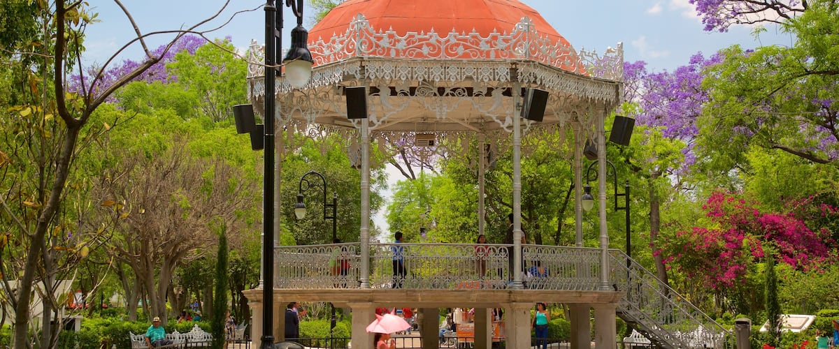 Jardin de San Marcos