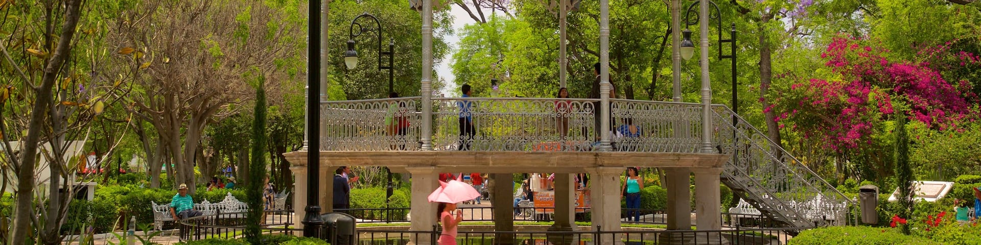 Jardin de San Marcos