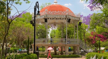 Jardín de San Marcos welches beinhaltet Wildblumen, Geschichtliches und Park