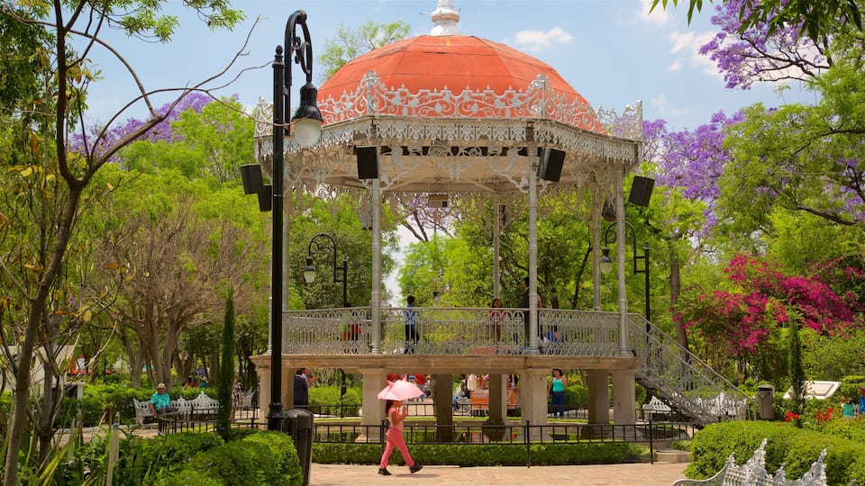 Jardin de San Marcos
