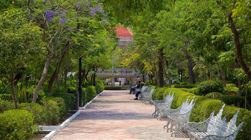 San Marcos trädgård som visar en park