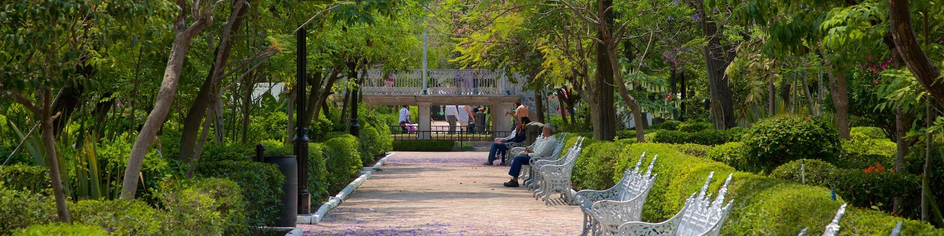 Jardin de San Marcos which includes a garden