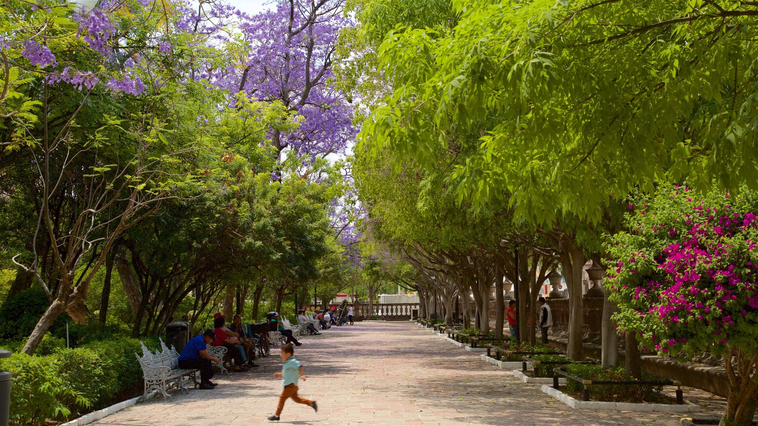 Jardin de San Marcos showing a park and wildflowers as well as an individual child