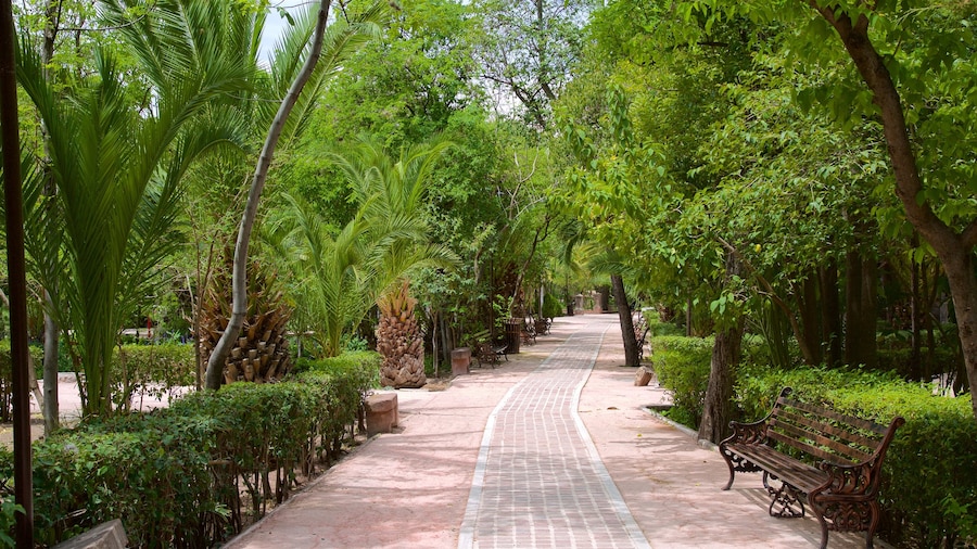 Parque Juarez que inclui um jardim