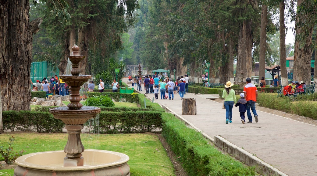 Zacango Zoo showing a park and a fountain as well as a small group of people