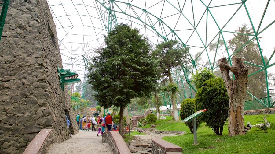 Zacango Zoo