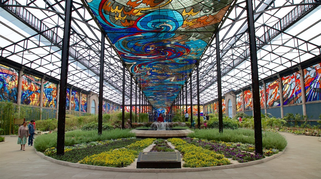 Toluca City-Centre showing outdoor art, a garden and interior views